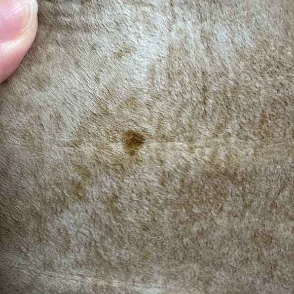 Tan Shearling Suede Coat with Fur Trim - Picture 7 of 7